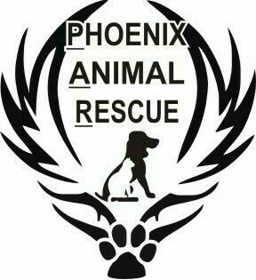 Phoenix Animal Rescue